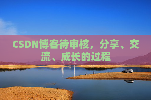 CSDN博客待审核，分享、交流、成长的过程